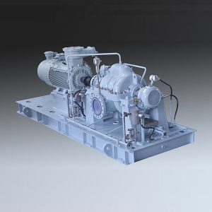 eksenel bölünmüş santrifüj pompa