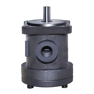 sabit deplasmanlı kanatlı pompalar