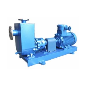 metal manyetik pompa