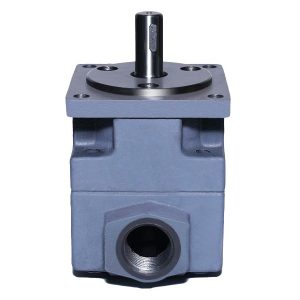 orta yüksek basınçlı kanatlı pompa