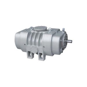 gaz soğutmalı kök vakum pompası